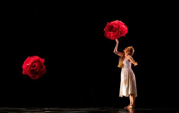 Momix dancer with rose