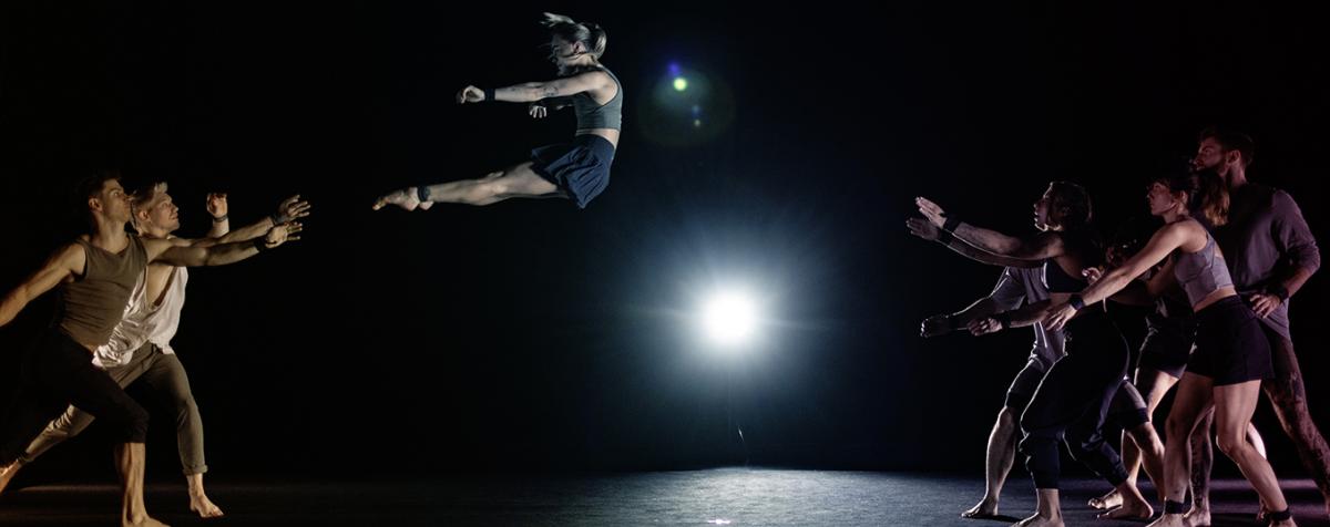 Gravity & Other Myths